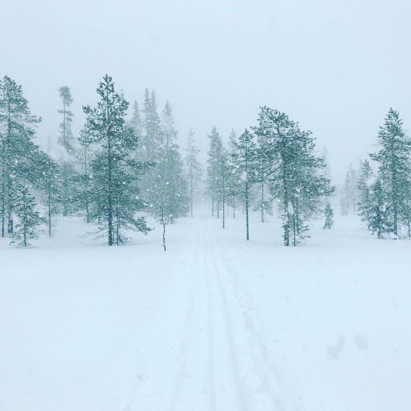 Прогулка на снегоступах