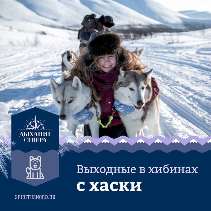 Выходные в Хибинах с хаски