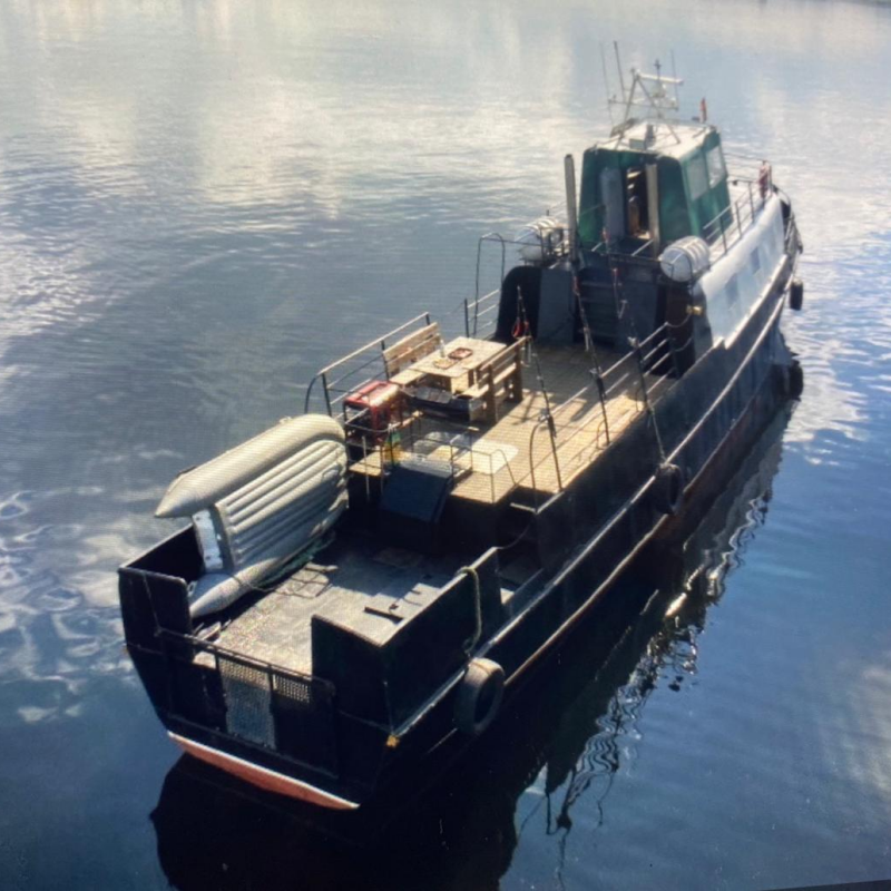 Однодневный тур в Териберку. Морская прогулка в поисках китов и касаток